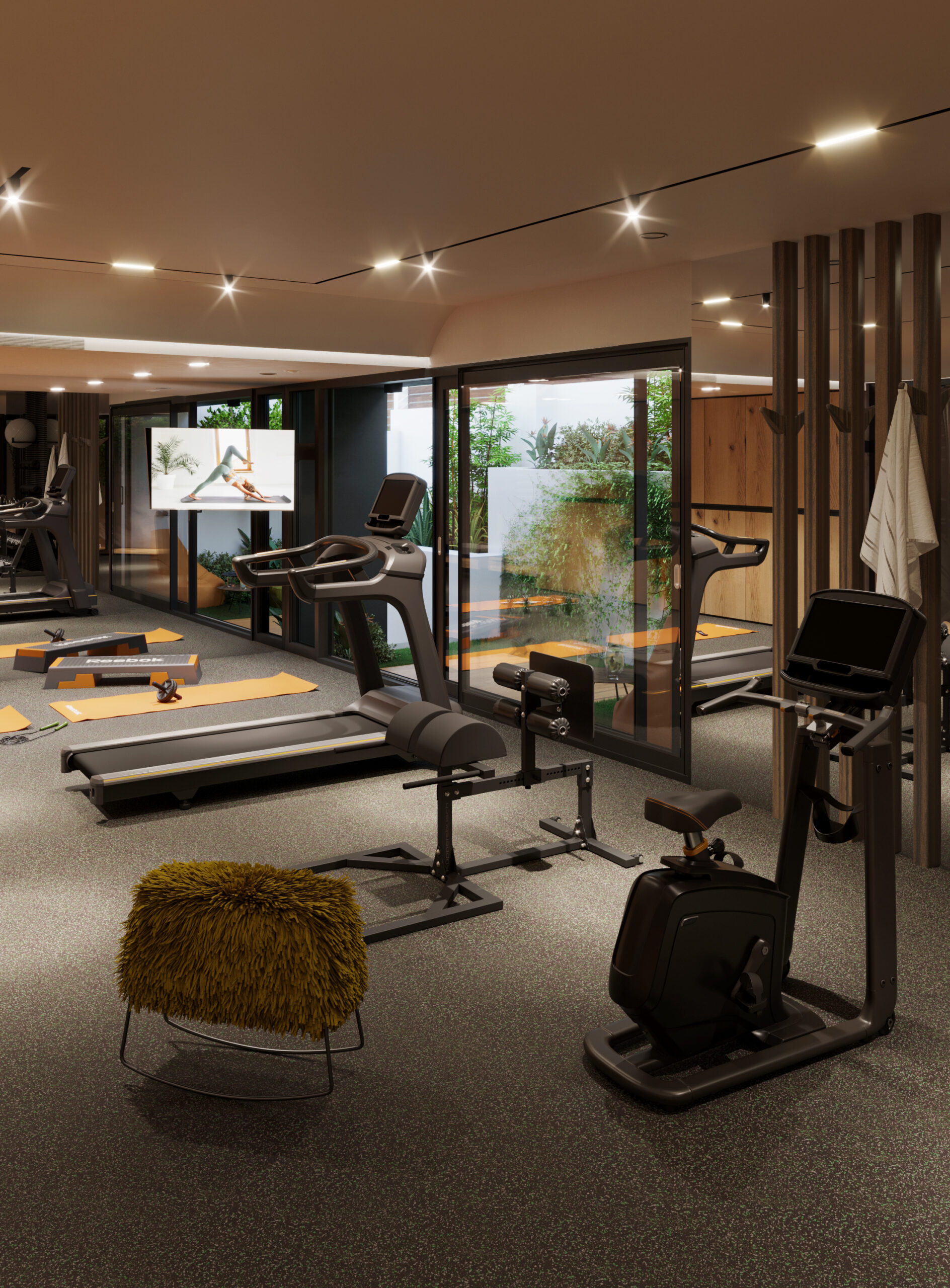 Gimnasio